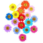 DIY RESINS Dried Daisies Custom Bulk